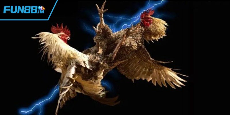 Sảnh game có nhiều dòng chọi nổi bật
